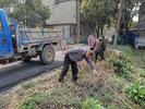 宜秀区白泽湖乡白泽社区：党建引领生态宜居，深化乡风文明