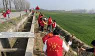 潘集區祁集鎮黃崗村：春光無限好 植樹正當時