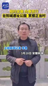 相约安徽 向春而行| 谷阳城遗址公园  赏樱正当时