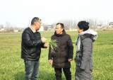 河溜镇：农业科技勤下乡 助农增收促振兴