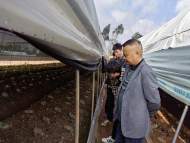宜秀區大龍山鎮：聚人大代表之力 為雙招雙引添磚加瓦