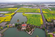 蕪湖市白茆鎮四千畝油菜花全面盛開