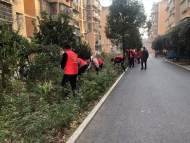 宜秀區大橋街道圣埠社區：扎實推進文明創建，助力鄉村振興