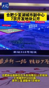 合肥少荃湖城市副中心7宗开发地块公开