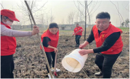 潁上縣紅雨傘志愿者協(xié)會：我為鄉(xiāng)村植棵樹 共建綠色新家園
