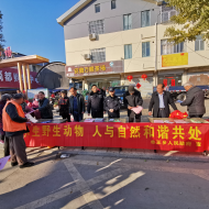 裕安區單王鄉：保護野生動物，共建和諧家園