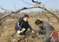 肥西縣山南鎮：靠前監督 助力鄉村產業振興