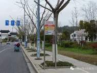 4月1日起，马鞍山市3条公交线路优化调整