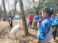 合肥部分公園和小學聯動開展“世界野生動植物日”宣傳活動