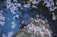 凌云:塘西河的雨