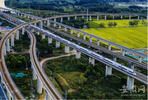 事关安徽省高铁线路规划 省发改委最新回应