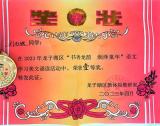 主题学习结硕果 喜报传来创佳绩——蚌埠铁二小学生在龙子湖区美文诵读活动中获奖 