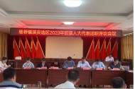 宜秀區(qū)楊橋鎮(zhèn)溪安村召開人大代表述職評議會議