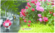 阜陽：氣溫大幅“跳水” 大風(fēng)雨水來襲