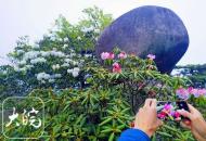 5月3日至5月5日 天柱山夜游活動因天氣原因暫停開放