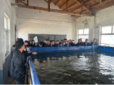 固鎮(zhèn)縣濠城鎮(zhèn)：“陸地養(yǎng)魚”讓村級集體經濟“游起來”