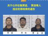 淮南警方公开征集贾波、贾浪等人违法犯罪线索