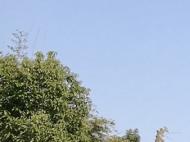 最高氣溫28℃！假期合肥天氣提前知