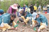 滁州：勞動(dòng)課堂搬進(jìn)生態(tài)園