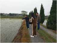 懷寧縣金拱鎮(zhèn)：加強田間管理 保護作物生長 