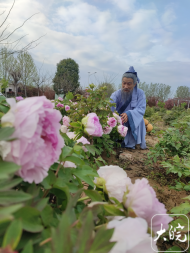 亳州文化旅游體育局長扮神醫華佗為家鄉代言走紅網絡