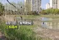 父親為救落水孩子身亡 當地回應：已要求景區整改  涉事項目暫停運營  