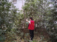 雪華鄉(xiāng)（宏業(yè)村街道）第三社區(qū)開(kāi)展“懸掛滅蠅籠 營(yíng)造健康衛(wèi)生環(huán)境”活動(dòng)