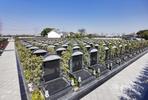 “上海天价墓地76万一平”上热搜，专家：土地资源短缺和人口老龄化加剧是主因
