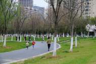 2022年度擬命名安徽省森林城市、城鎮(zhèn)、村莊名單公示