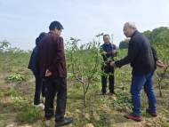 宜秀區白澤湖鄉龍華村：學以致用接地氣 老年課堂進果園