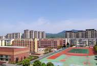 宜秀區大龍山鎮中心社區：強化“老幼”保障，護航鄉村振興