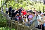 五一假期第二天，黄山和宏村等地人气兴旺 