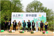 六安市毛坦廠鎮首屆茶旅文化節成功舉辦 