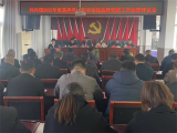 仲兴镇召开2022年度基层党组织书记抓基层党建工作述职评议会