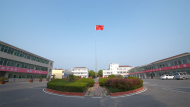 潘集區高皇鎮孫崗村：蔬菜產業撬動集體經濟致富密碼