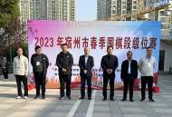 宿州市500多名小棋手在紋枰論道中“棋”樂無窮