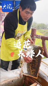 追赶花期的养蜂人