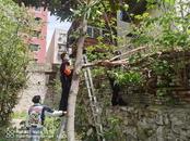 蚌埠民警化身“木工”師傅清除安全隱患，群眾豎起大拇指