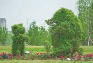 淮南市人民公園：植物“變臉”卡通形象