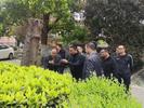 “合肥一小区20多棵大树枯死”再追踪：大树枯死原因已查明，物业被责令补栽树木