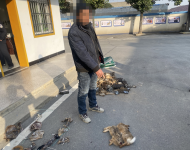 缴获捕兽夹175副 含山警方破获一起非法狩猎案