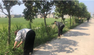 常墳鎮(zhèn)五路村：公益性崗位為鄉(xiāng)村振興添動(dòng)力