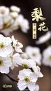 筱竹：向美好低头