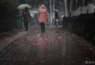 大反轉(zhuǎn)！直沖32℃后 合肥下周末將迎降溫降雨