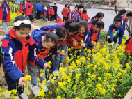 解放二路小學聚焦科學，以項目式學習融合五育