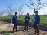 邮储银行天长市支行：发挥党建引领优势  凝聚邮储硬核力量