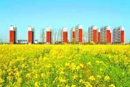 巢湖市夏閣鎮(zhèn)：安置“美景”房