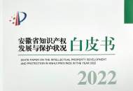 安徽省2022年授權專利156584件 合工大位列兩榜單第一