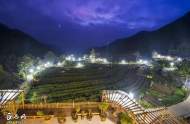 包家石佛寺茶園4月15日清香開園