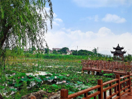 巢湖廟崗鎮(zhèn)：多點(diǎn)發(fā)力，繪就幸福小康多彩畫卷